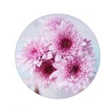 Отправка заказов в течении суток